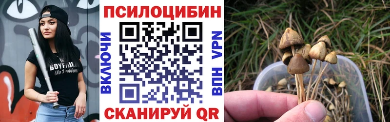 как найти наркотики Канаш кракен Галлюциногенные грибы мухоморы