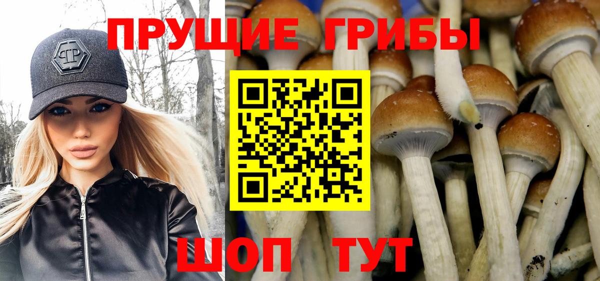 Канаш  Псилоцибиновые грибы ЛСД  Вход с VPN 