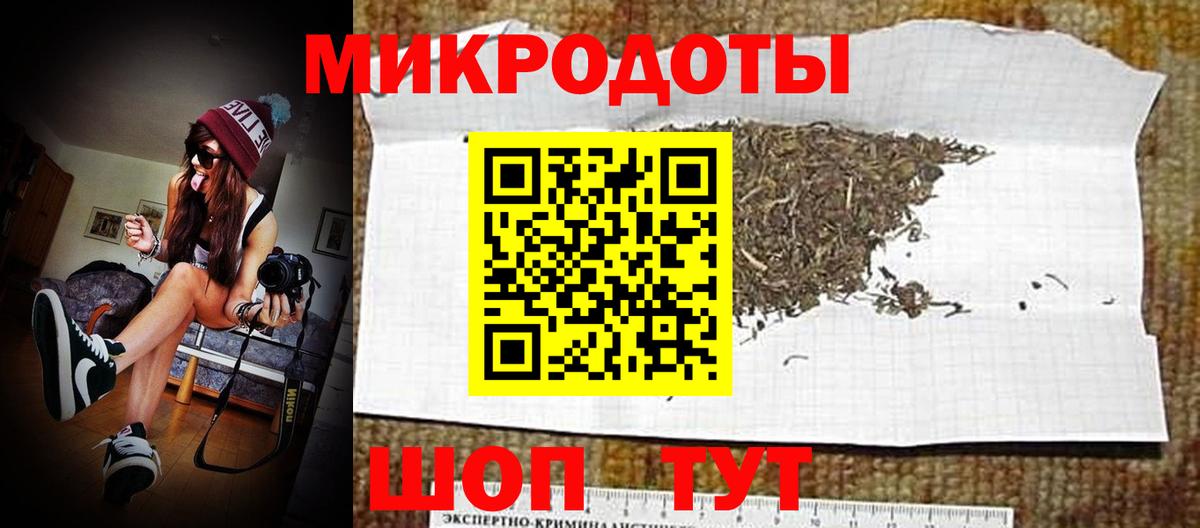 Псилоцибиновые грибы Psilocybine cubensis Канаш