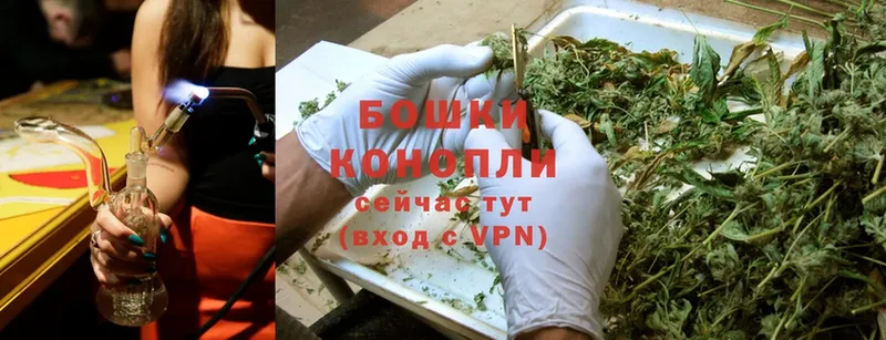 Бошки Шишки Ganja  наркотики  Канаш 